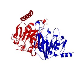 Image of CATH 5il2