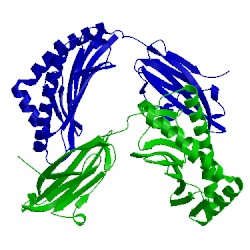 Image of CATH 5im7