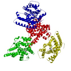 Image of CATH 5imi