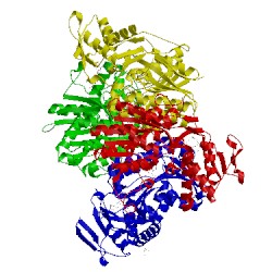 Image of CATH 5in5