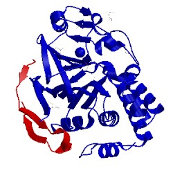 Image of CATH 5inb