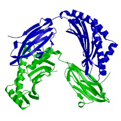Image of CATH 5inc