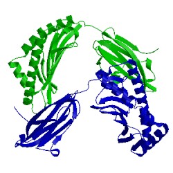 Image of CATH 5ind