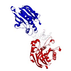 Image of CATH 5inp