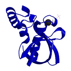 Image of CATH 5iod
