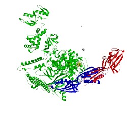 Image of CATH 5ipm