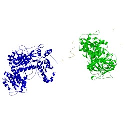 Image of CATH 5ips