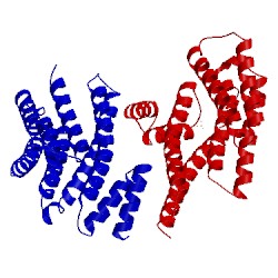 Image of CATH 5iqp