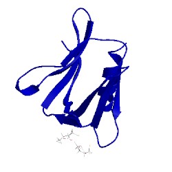 Image of CATH 5irs