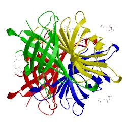 Image of CATH 5irw