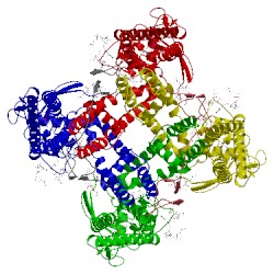 Image of CATH 5irx