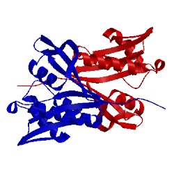 Image of CATH 5isv