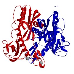 Image of CATH 5isy