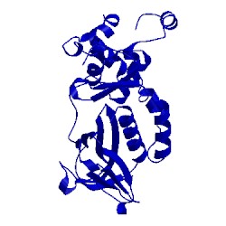 Image of CATH 5itq