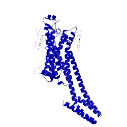 Image of CATH 5iu4