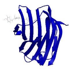 Image of CATH 5iuq