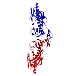 Image of CATH 5iw5