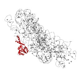 Image of CATH 5iwa