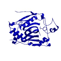 Image of CATH 5iwf