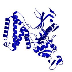 Image of CATH 5ixd