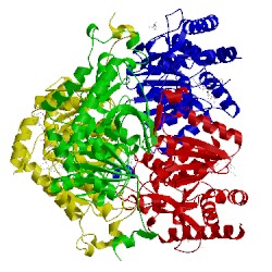 Image of CATH 5ixs