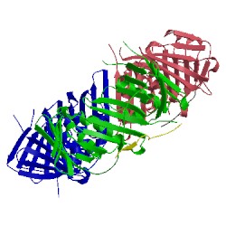 Image of CATH 5iy4