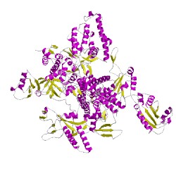 Image of CATH 5iydA