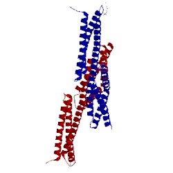 Image of CATH 5j1g