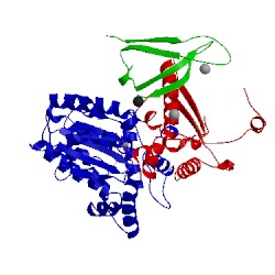 Image of CATH 5j1s