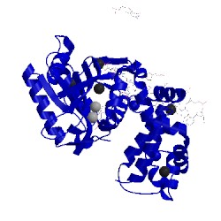 Image of CATH 5j2f