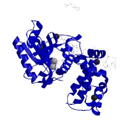 Image of CATH 5j2k