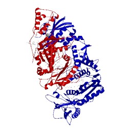 Image of CATH 5j2n