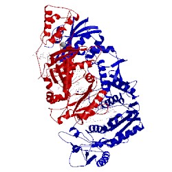 Image of CATH 5j2q