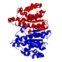 Image of CATH 5j41