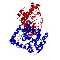 Image of CATH 5j6d