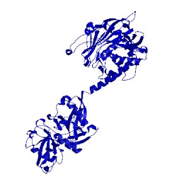 Image of CATH 5j7t