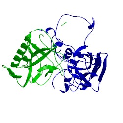Image of CATH 5j96