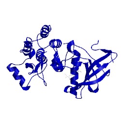 Image of CATH 5j9y