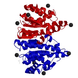 Image of CATH 5jcw
