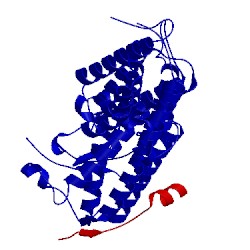 Image of CATH 5jcy