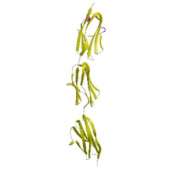 Image of CATH 5jddA