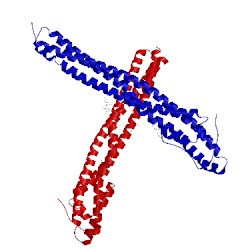 Image of CATH 5jdo