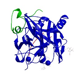 Image of CATH 5jfd