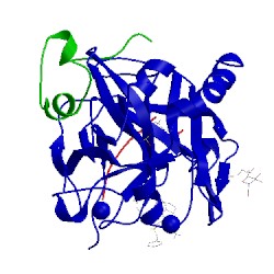 Image of CATH 5jfd