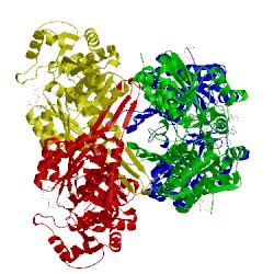 Image of CATH 5jfn