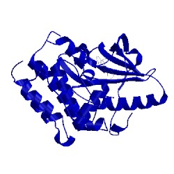 Image of CATH 5jfs