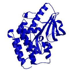 Image of CATH 5jfx