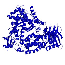 Image of CATH 5jha