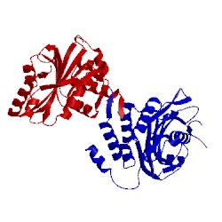 Image of CATH 5jho