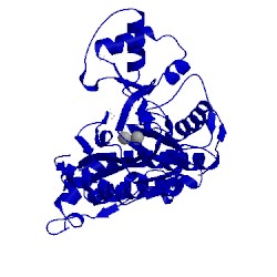 Image of CATH 5ji6